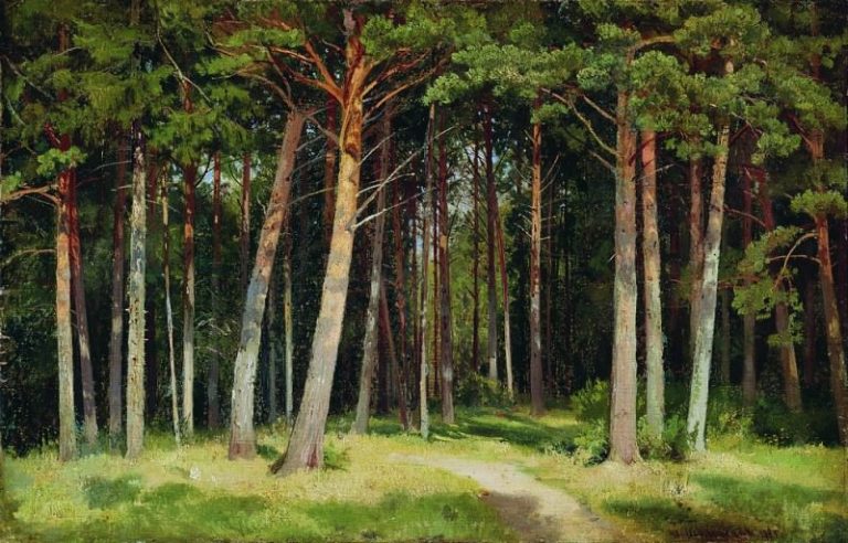Сосновый лес 1885 41х62 картина