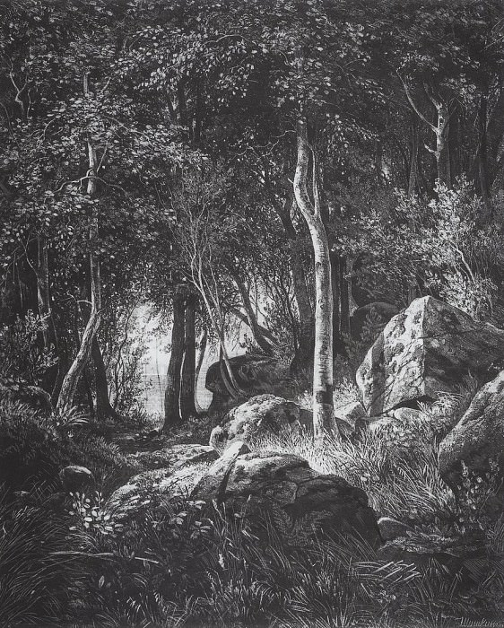 На краю березовой рощи. Остров Валаам. 1859-1860 44, 4х37 картина