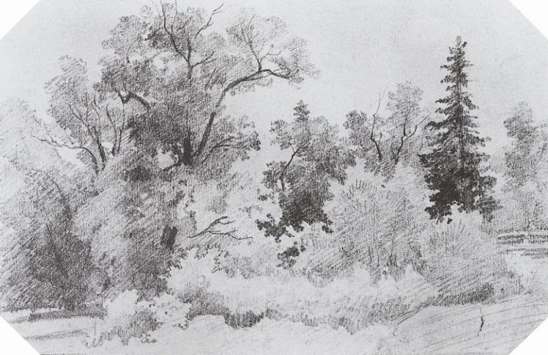 Опушка леса 1850-е 12х19. 4 картина