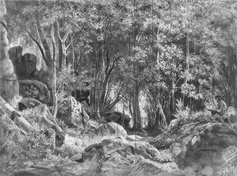 Валаам. Лес на камнях 1859 42. 4х57. 2 картина