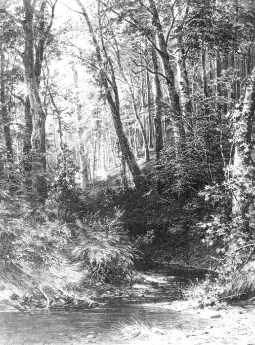 Ручей в лесу 1880-е 67х52 картина