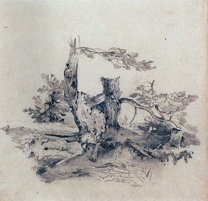 Сосны, прилегающие к корню части стволов. 1854 картина