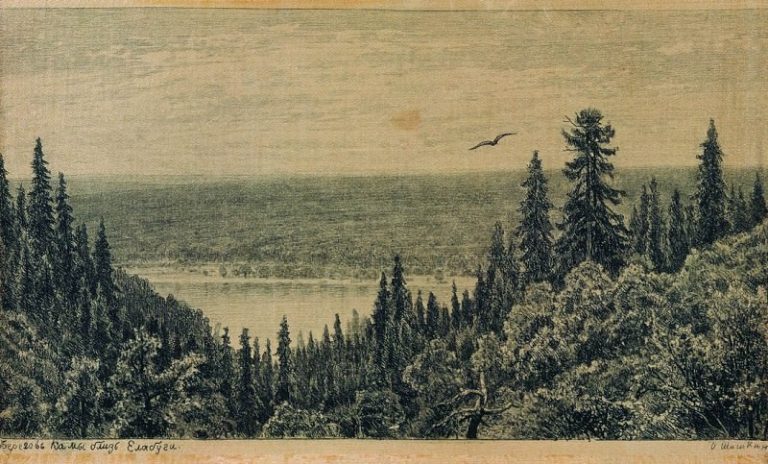 С берегов Камы близ Елабуги. 1885 16х24 картина