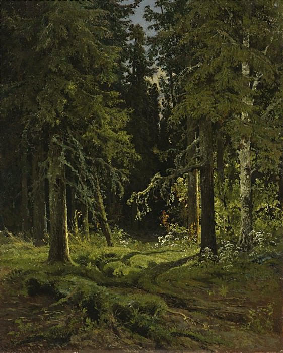 Лесной пейзаж 1878 45х35 картина