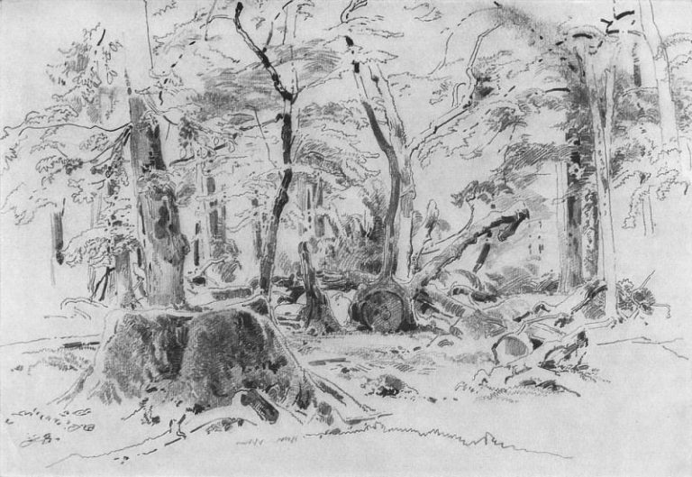 Спиленное дерево 1870-е 23х32 картина