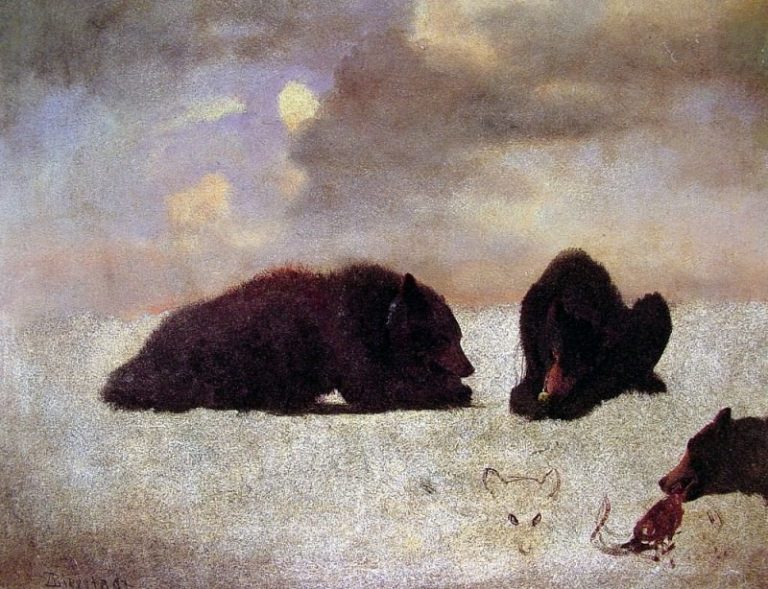 Медведи гризли картина