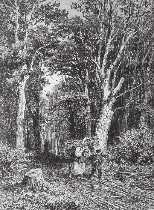 Дорога в лесу. 1869 28х20 картина