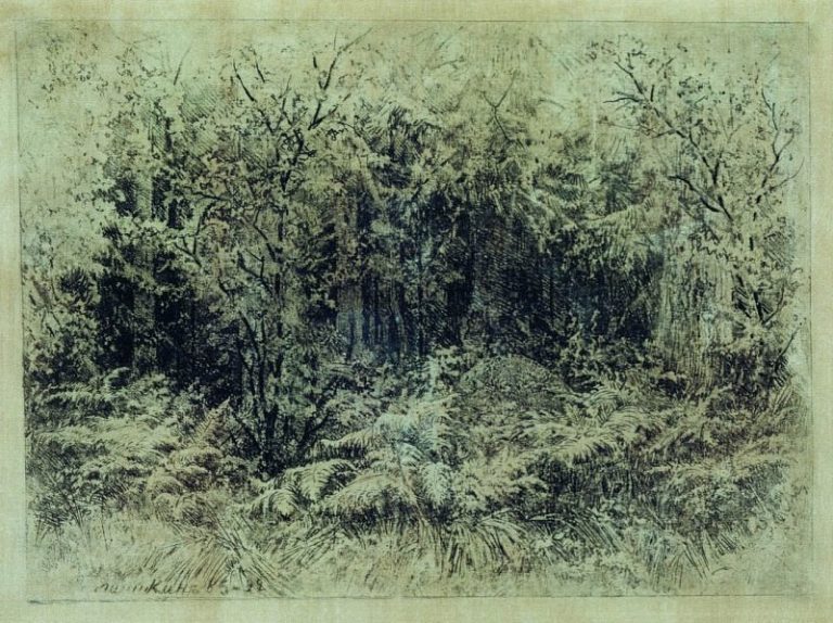 Муравейник. 1892 18х24 картина