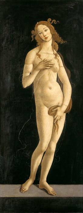 Венера Стыдливая (Venus Pudica) картина