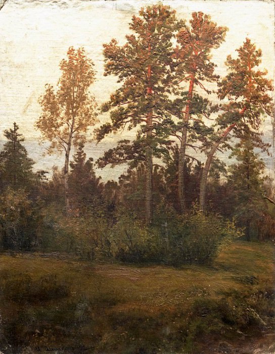 Опушка леса 1892 картина
