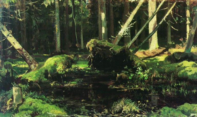 Бурелом 1886-1887 картина