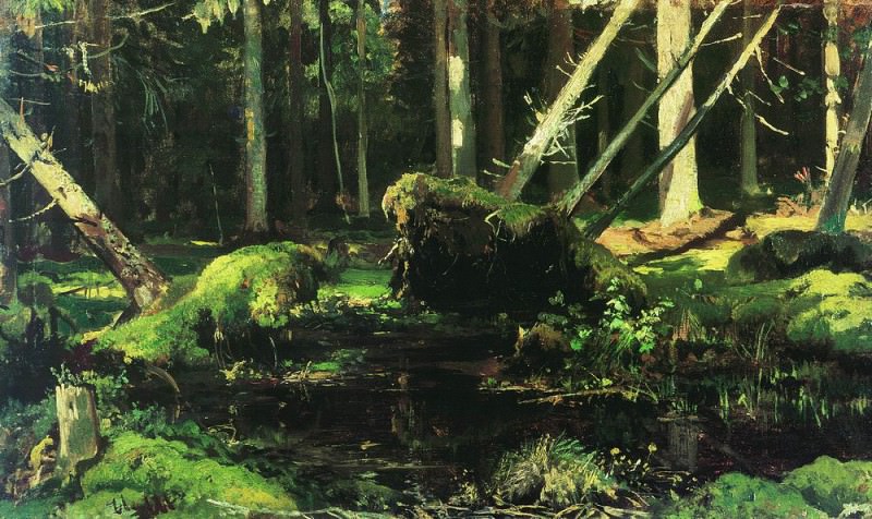 Бурелом 1886-1887 картина
