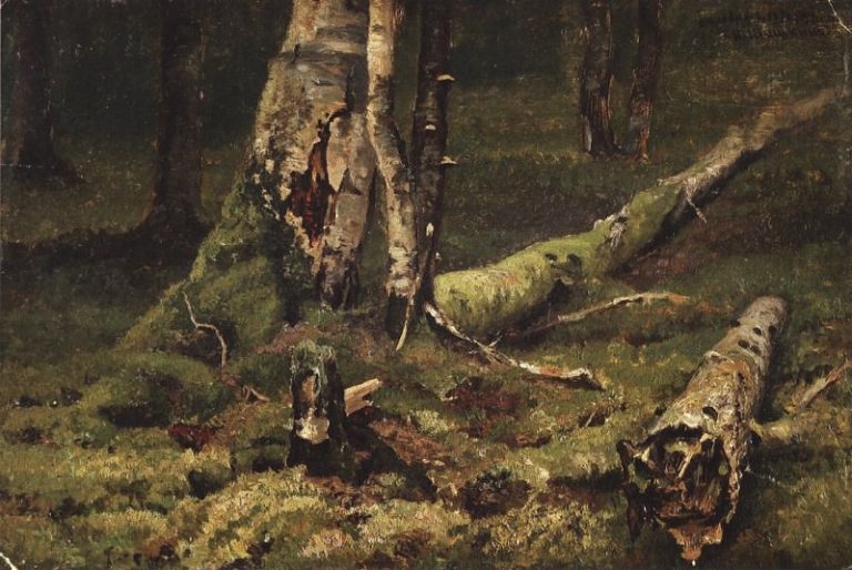 Сухостой. Беловежская пуща. 1892 28, 4х43, 4 картина