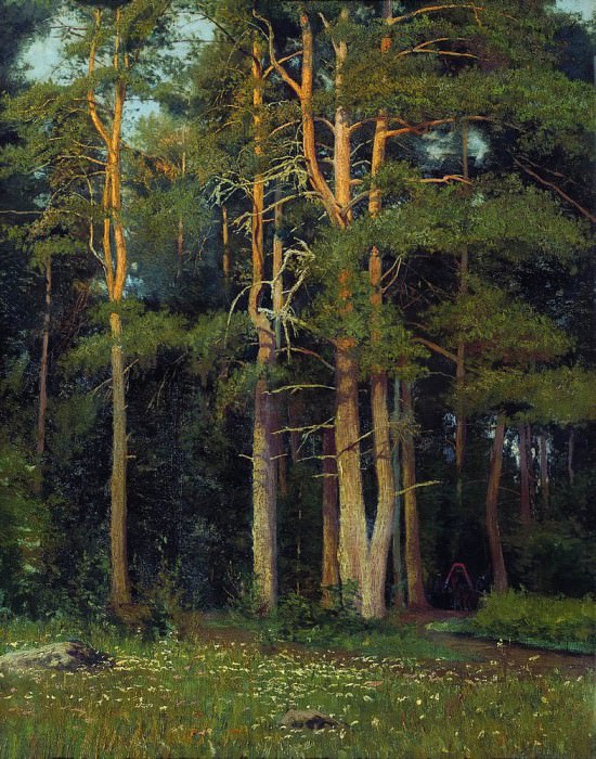 Сосновый бор у Лигова 1895 106, 4х73 картина