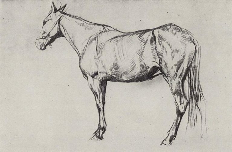 Лошадь. 1884 картина