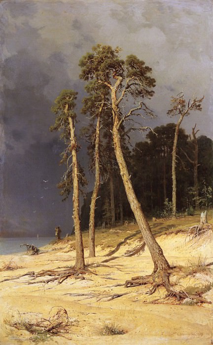 Песчаный берег. 1879 142х88 картина