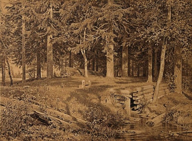Еловый лес (У ручья). 1890 50х67 картина