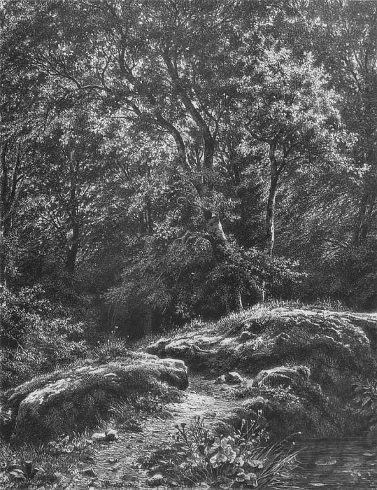 Дорожка в лесу. 1871 46х34 картина