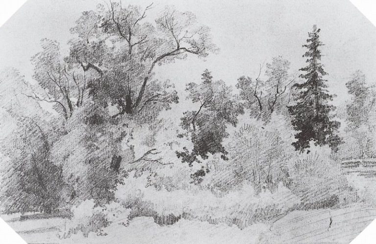 Опушка леса. 1850-е 12х19, 4 картина
