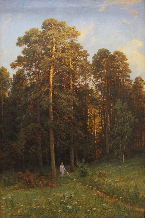 На опушке соснового леса 1882 картина