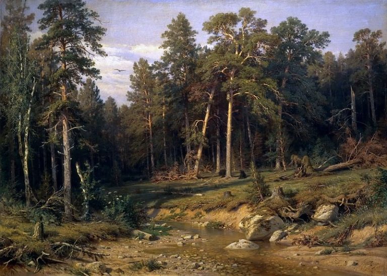 Сосновый бор. Мачтовый лес в Вятской губернии картина