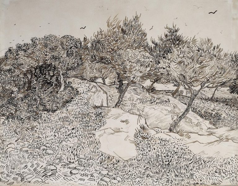 Оливковые деревья картина