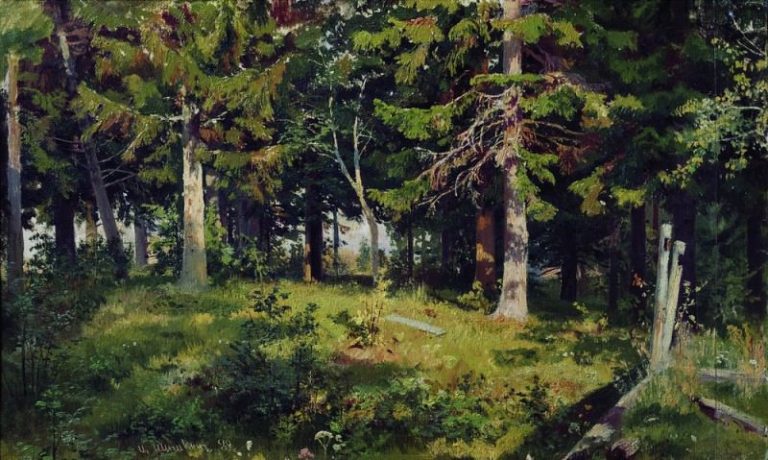 Поляна в лесу 1889 38х62 картина