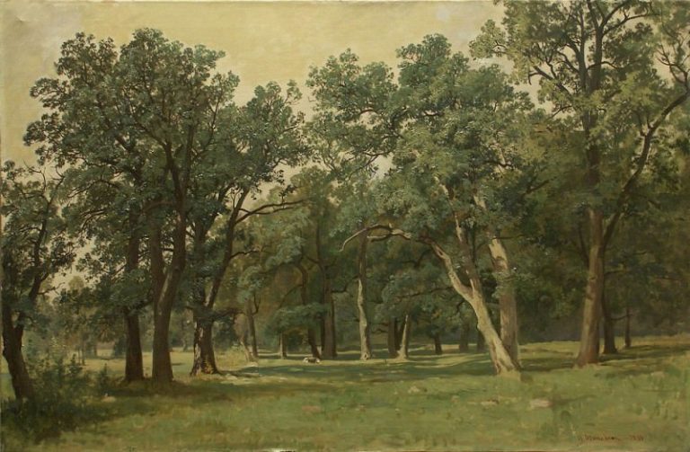 Лесная поляна 1889 картина