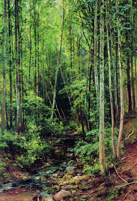 Лес-осинник. 1896 119х84 картина