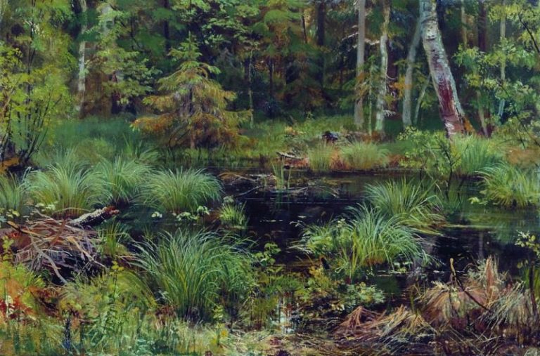 Родник в лесу 1892 38х56 картина