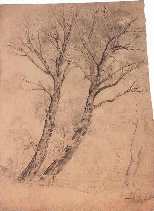 Деревья. 1850-е картина