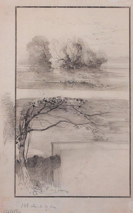 Деревья у воды. Ветви деревьев. 1870-е картина