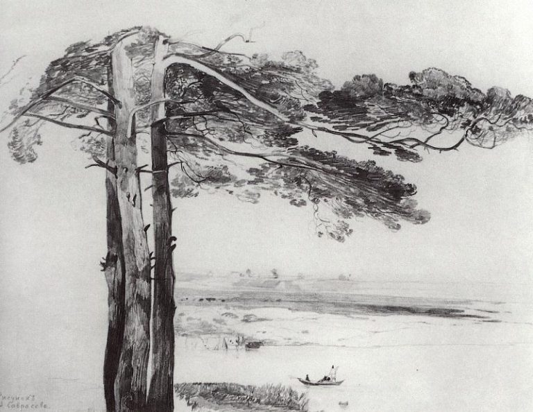 Сосны из Гусарева. 1850-е картина