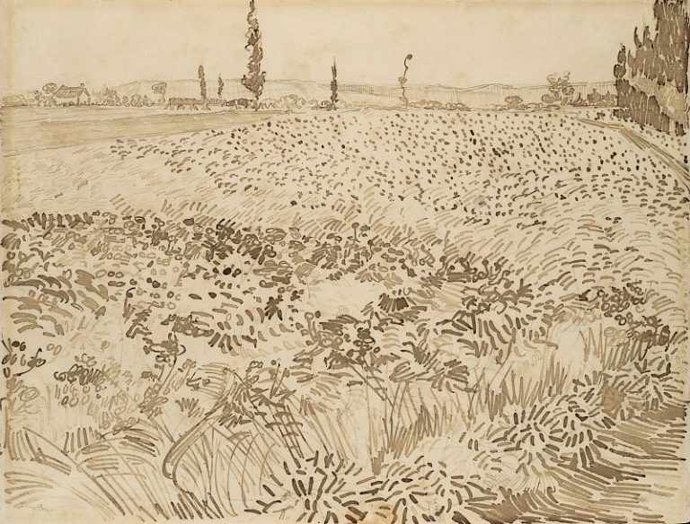 Пшеничное поле картина