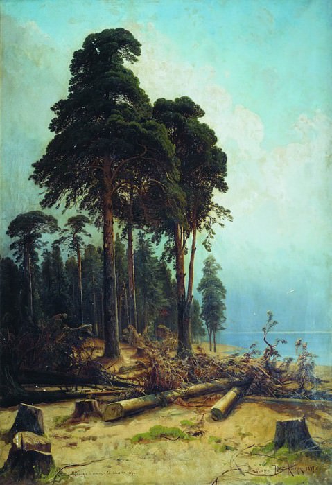 Сосновый лес 1883- 1894 235х161. 3 картина