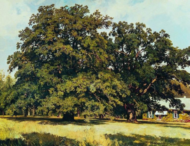Мордвиновские дубы 1891 84х111 картина