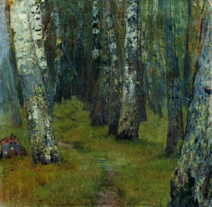 Березы. Опушка леса. 1880-е картина