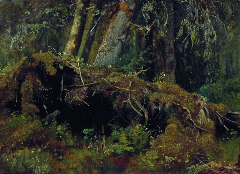 Бурелом 1880 Картон, масло 26. 3х36. 1 картина