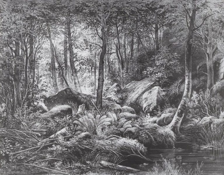 Трущоба (Вид на острове Валааме). 1860 20х26 картина